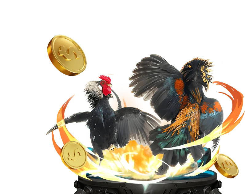 Thưởng VIP và Hoàn Trả Cao